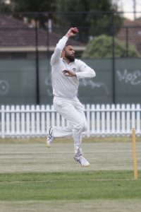 Lions lose grand final