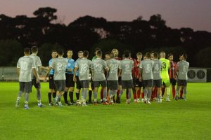 Franjic quits Knights
