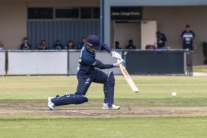 Lions add new pieces