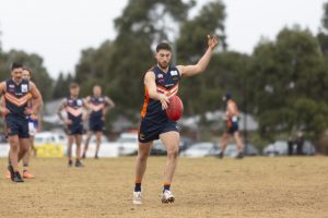 Bears fighting tough