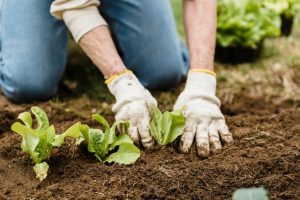 Free soil health workshop
