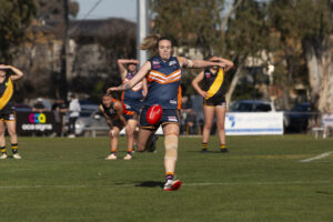 Bears into granny after another strong performance