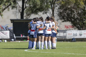 Calder to merge with Avondale