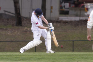 Gorillas hoping to take next step