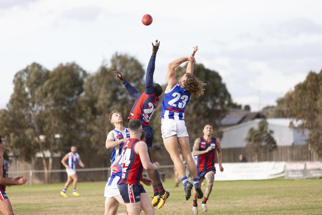 Dragons add experience