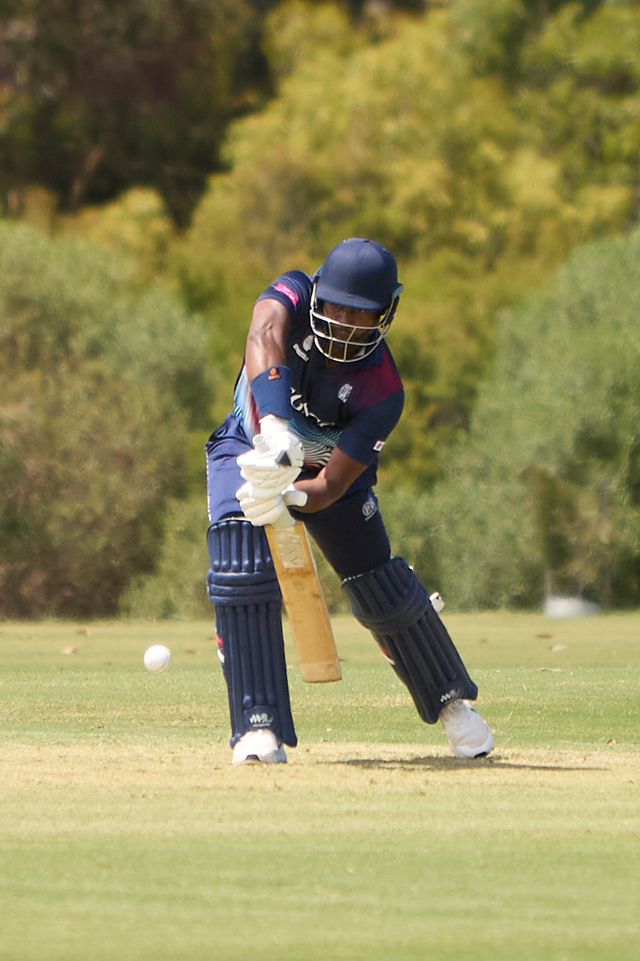 T20s get underway, Lions fire again