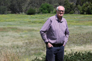 Noise amelioration program concerns