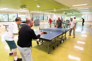 Table tennis sessions