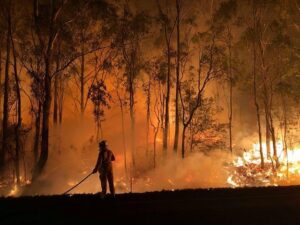 Victorian bushfire appeal accepting donations