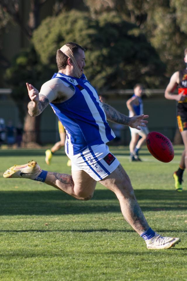 Cobras add experience