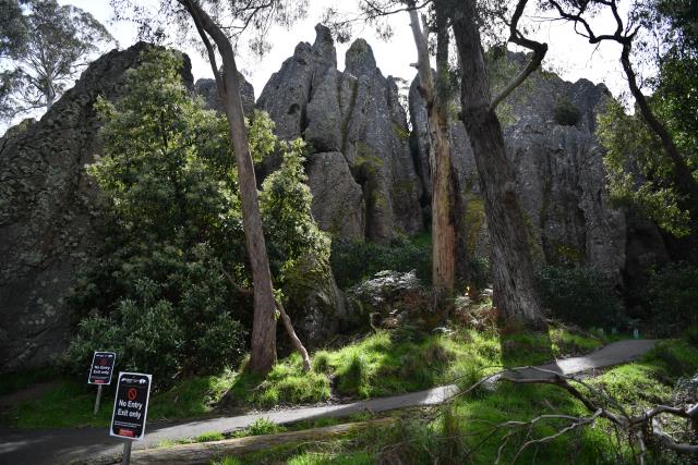 Picnic next to classic cars