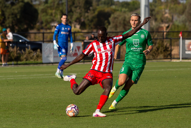 Georgies top flight return