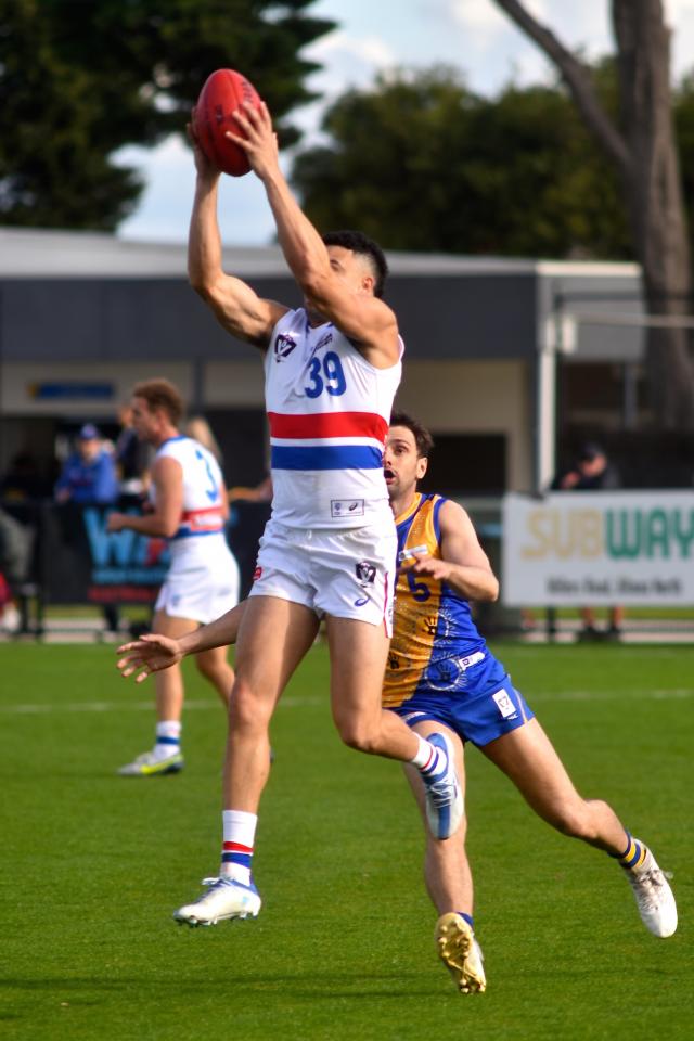Johannisen joins Lions
