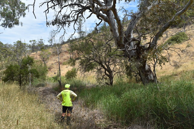 Call to rename drain