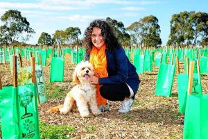 Concerns for 7000 trees in Green Gully Reserve