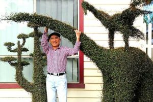 Sunshine residents hobby of trimming hedges is real fine