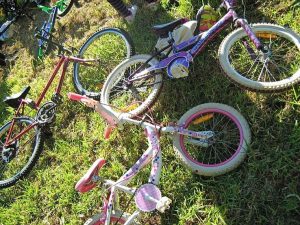 Brimbank & North West Community Calendar – September 20, 2016