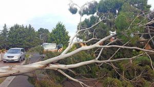 Brimbank SES cannot house anymore volunteers