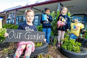 Food for Springside Kindergarten future leaders