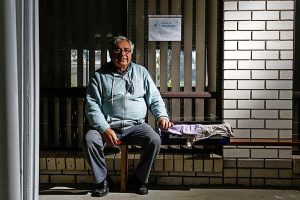 Six cats stolen from Sunshine Mosque