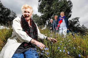 Take a ramble among the wildflowers in Deer Park