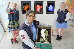 Homegrown Melton talents find its audience