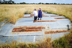 Cairnlea’s very own wild bandicoot