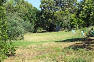 Police urge Sunshine gunman to come forward