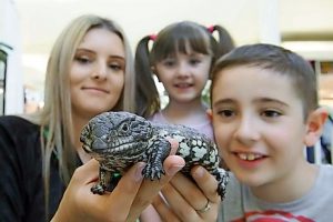 World of the wild comes up close