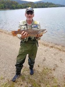 The way of a trout with the fly