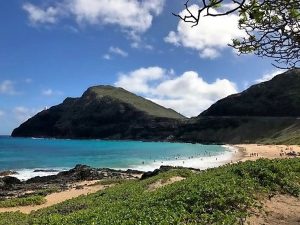 Soak up the variety of island style in Oahu