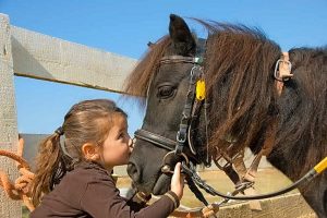 A happy gift for Village traders