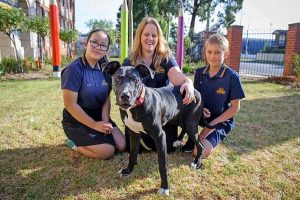 Sunshine primary school partners with animal rescue group