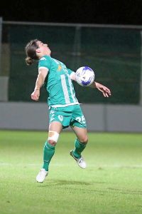 Super sub heads Green Gully to victory