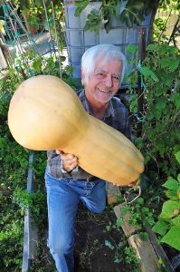 Sunshine North pensioner harvests another giant vegetable