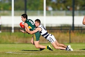 Penny has dropped for Albion Cats