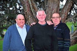 Shed builds on support