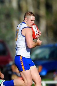 Perkins a game changer for Deer Park