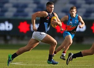 All Australian honours for Western Jets duo