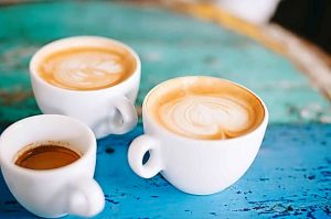 Sunshine cafe investors refuse to bite