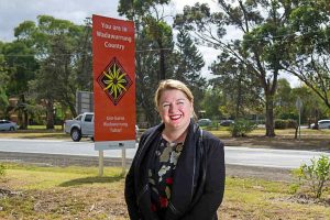 Hutchins is new minister for family violence