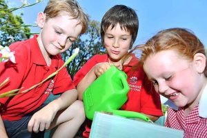 Council invites green cash bids