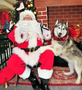 Santa’s early visit to Sunshine