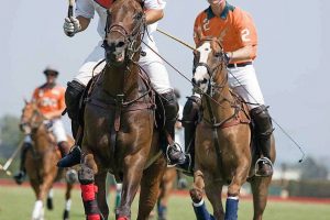 Untitled post 185821