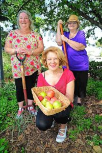 Green wisdom for Brimbank