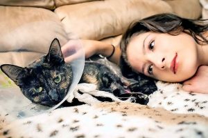 Life saving cat in need of life saving support