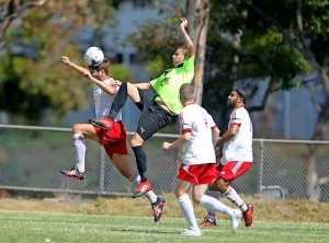 Western Eagles exit with style