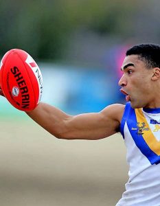 First quarter goal blitz sets up Deer Park’s first victory