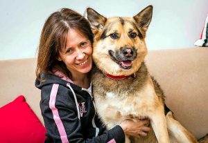 Buddy finds a way home