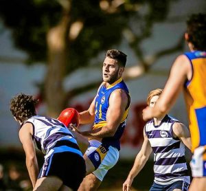 Sunshine Kangaroos in winning moves